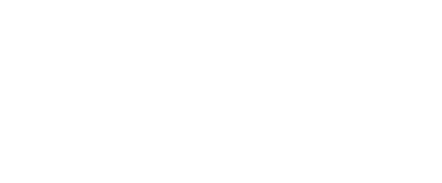 logo twice